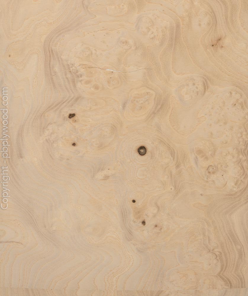 Ash Burl Veneered Birch Plywood - Peter Benson Plywood Ltd